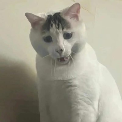 seefah88's profile picture. ชีวิตมันยากขนาดนี้เลยสินะ