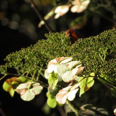 Nature - Arts - Littérature