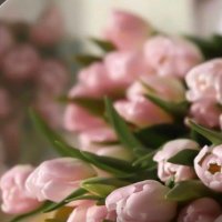 عبير🌹 (@abeer_h1113) 's Twitter Profile