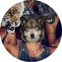 rabb1ts_ (@rabb1ts_) 's Twitter Profile