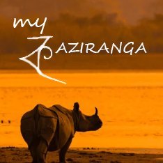 My kaziranga