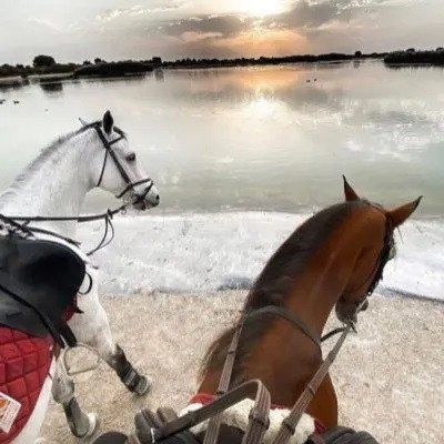 Adelalqahtanni's profile picture. تجاوزت كونها شخص هي روحي