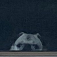 GregGore (@greggoregaming) 's Twitter Profile