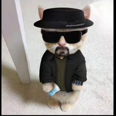 Average based Breaking Bad posting. Jesse, we need to tweet 💯🔥💯🔥🗣️🗣️🐐