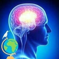 (Love💚Peace☮️Warrior⚔️) (@peacewa89515519) 's Twitter Profile Photo (Love💚Peace☮️Warrior⚔️) (@peacewa89515519) 's Twitter Profile Photo