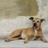 nuniversality's profile image