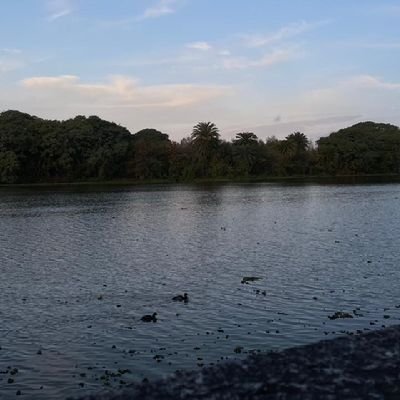 ladyfox_a's profile picture. de argentina,
Buenos aires♡
31 años 
diseñadora gráfica