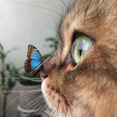 franyer_89's profile picture. #lavinotinto