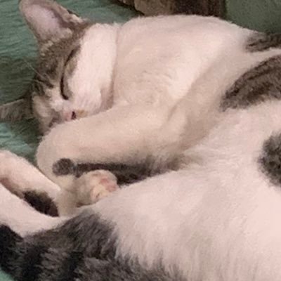 Luvuuuuforever's profile picture. 