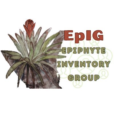 A global initiative to bring together biodiversity epiphyte data from across the world: https://t.co/fzPWq8Ei7A.
More news to come, watch this space.