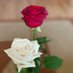 عبير (@rb3508) Twitter profile photo عبير (@rb3508) Twitter profile photo