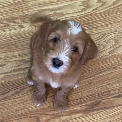 TroutManrammer's profile picture. I’m kind of a juggernaut