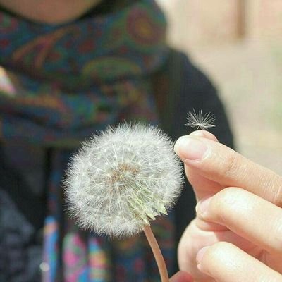 🍃عاشق پاییز💍
نصف جهان ، فعال اجتماعی_
بایدبه این بلوغ برسیم که نبایددیده شویم!
آنکس که
بایدببیند،
می بیند....!