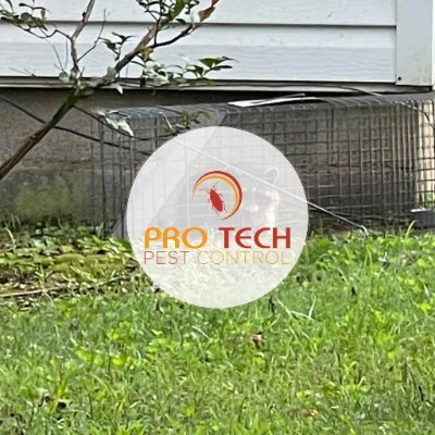 Pro Tech Pest Control & Termites Offers Pest Control in Poplar Bluff, MO 63901