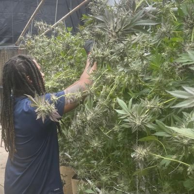 907XAY's profile picture. Don’t follow me if you are sensitive, IG: xay907 & SC: akidnamedx