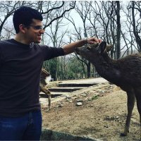 Itai Ghersin (@ighersin) 's Twitter Profile