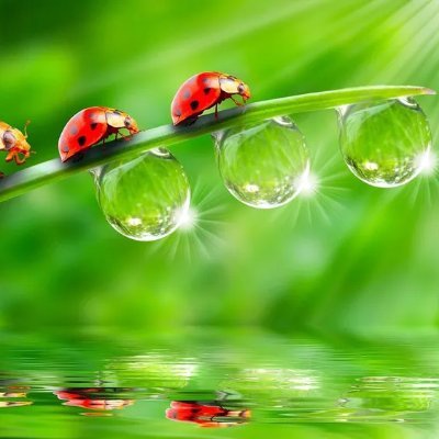 CrispusMandela's profile picture. Heavenly bound