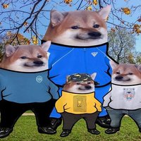 NAFlo Fella³ 🇷🇺➡️🗑️ (@degerflo) 's Twitter Profile