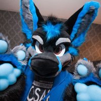 Vector Miles High Woofer π (@vectorwuff) 's Twitter Profile Photo Vector Miles High Woofer π (@vectorwuff) 's Twitter Profile Photo