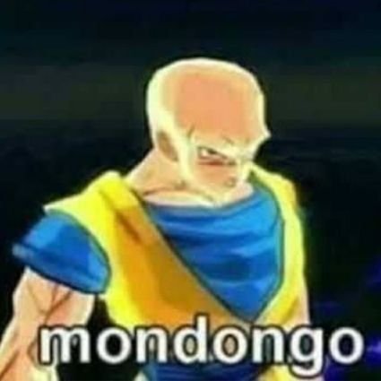 mondongo