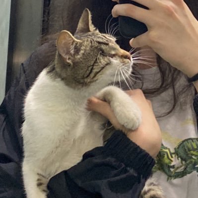 loveusimba's profile picture. 