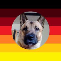 BasedCook (@basedcook1972) 's Twitter Profile