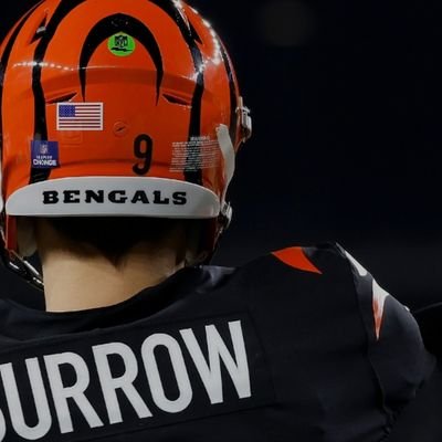 LilJeramy02's profile picture. #lsu25