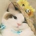 SunCup (@cupof_sun) Twitter profile photo SunCup (@cupof_sun) Twitter profile photo