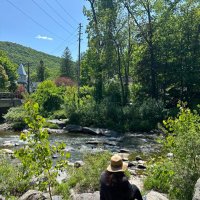 Zee (@zz91zz91) 's Twitter Profile