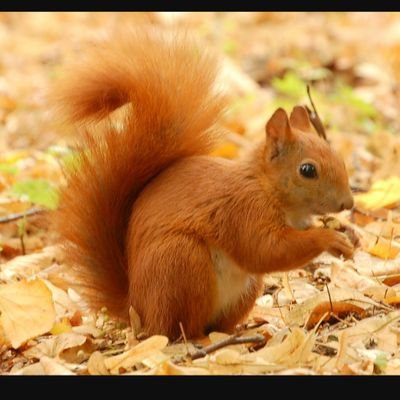 benjamin1_page's profile picture. 