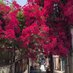 Zehra Bulut (@zzbulutt) Twitter profile photo Zehra Bulut (@zzbulutt) Twitter profile photo