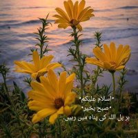 @SabaAkram651 (@sabaakram651) 's Twitter Profile