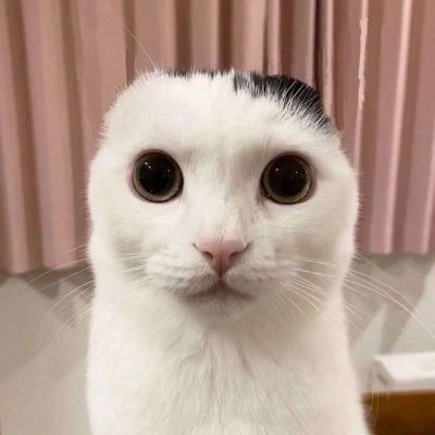 rumarze's profile picture. I draw forsaken stuff mostly 
.
I have tumblr with the same user! hi