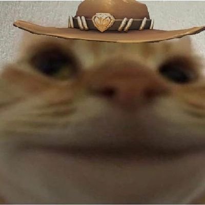 boobiedflora's profile picture. 20 | side account 🤙✨✨