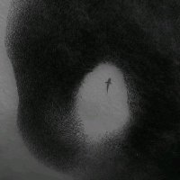 Script (@x7chrix) 's Twitter Profile