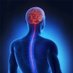 Southwest Neurosurgery UHP (@southwest7111) Twitter profile photo Southwest Neurosurgery UHP (@southwest7111) Twitter profile photo