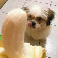 Sin drama no mas (@sindramanomas11) 's Twitter Profile