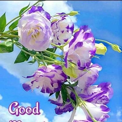 The most difficult task is to make everybody happy, The simplest task is to be happy with everyone.
GOOD MORNING.
EXPERIENCE TAKING, MAKING AND SPENDING.