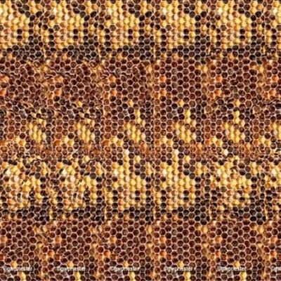 ThinkingOfStuff's profile picture. Not on here so much nowadays...