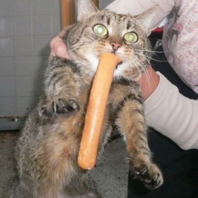 mini2264's profile picture. 