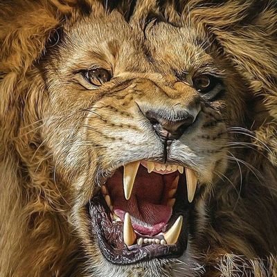 israelamevor26's profile picture. a follower of Christ.