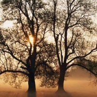 Mauro Di Marino (@maurodimar45307) 's Twitter Profile