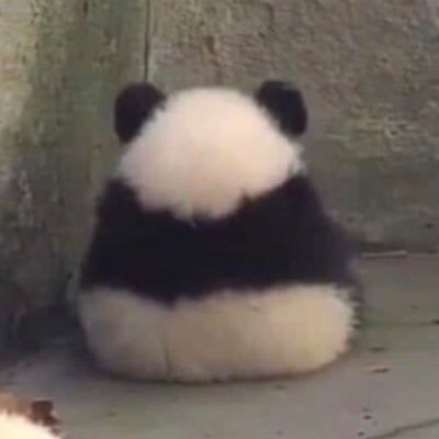 testingtest507's profile picture. 
