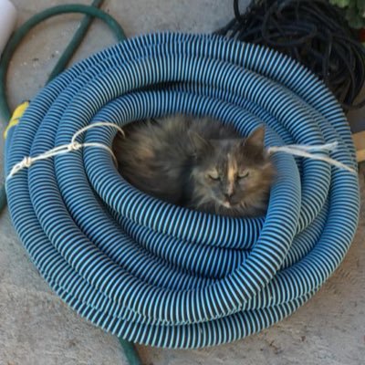 isai3358's profile picture. Tough time never last, only tough people last. -Master Demi.