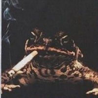 قورباغه هفت تیر کش 🦁☀️ (@ghor7tir) 's Twitter Profile