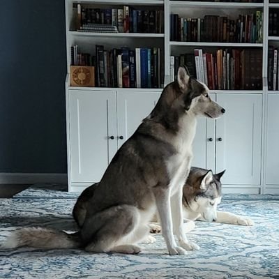 Joyful Confessional Lutheran pastor with Huskies. Author: The Sword and the Mask: An antifragile approach to spiritual warfare