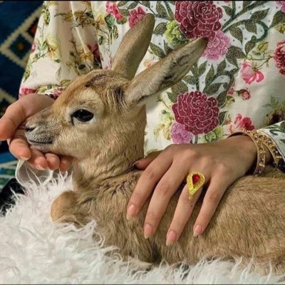 sm_73s's profile picture. إستغفُرو لعّل ذنوبنا تُغفر؟.