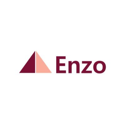 Enzo Profile