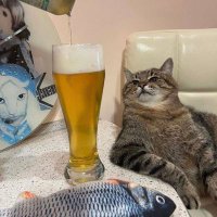 Боб Маре (@mackodetegradsk) 's Twitter Profile