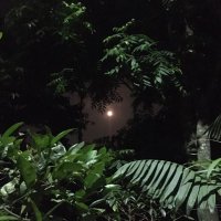 hada (@ester13416952) 's Twitter Profile